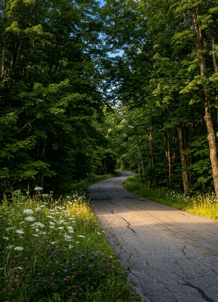 vermont backroad in the summer