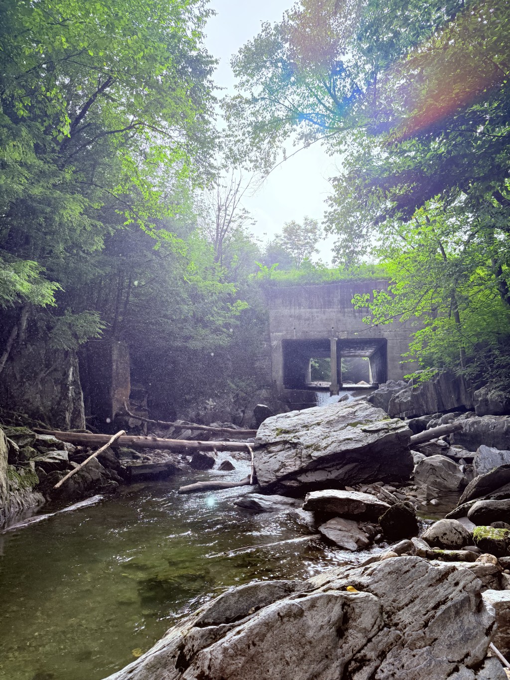 Vermont’s Best Swimming Spots for&nbsp;Families